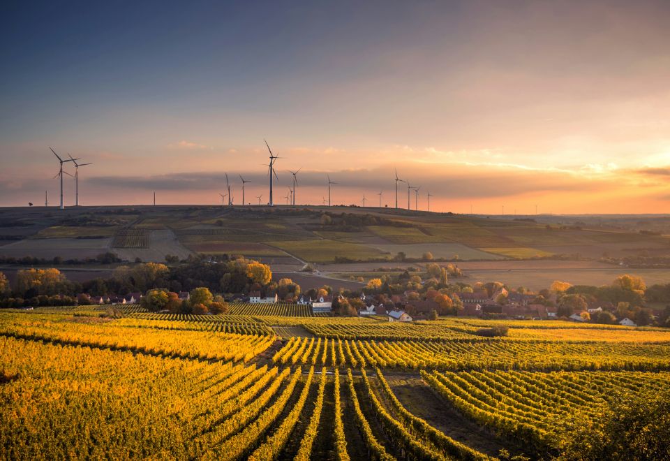 Green fields with wind farm in the distance